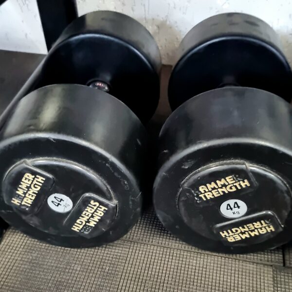 Hammer Strength Pro hanteles. 44 kg. Cena: 280 eur. Visas kopā lētāk