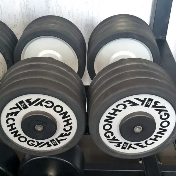 Technogym PRO henteles 32 kg. Cena: 205 eur. Viss Komplekts lētāk