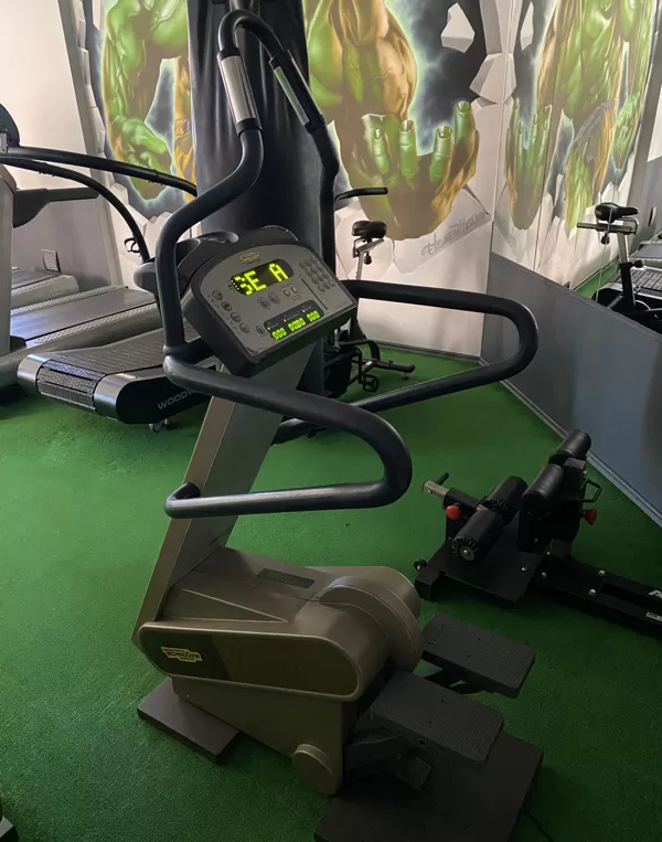 Profesionālais trenažieris Technogym Step XT Pro 600 - labā stāvoklī. Cena €650 eur