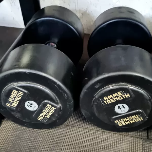 Hammer Strength Pro hanteles. 44 kg. Cena: 280 eur. Visas kopā lētāk
