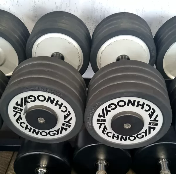 Technogym PRO henteles 34 kg. Cena: 215 eur. Viss Komplekts lētāk